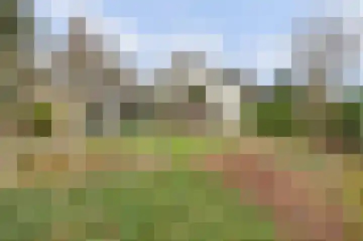 Havikshof 27 Ermelo thumbnail 39