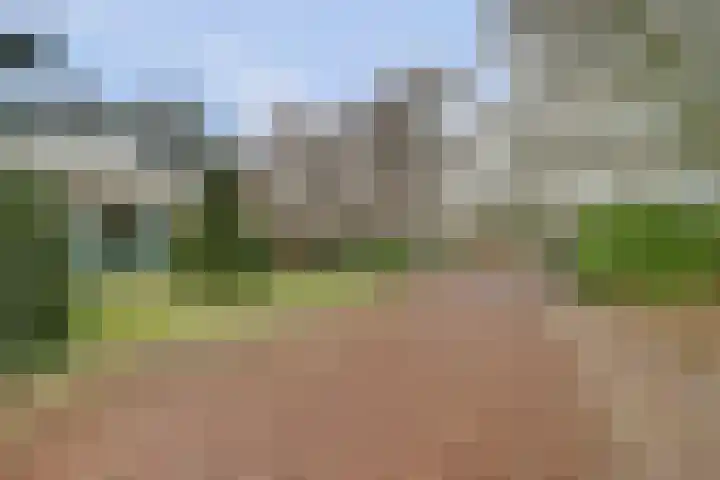 Havikshof 27 Ermelo thumbnail 40