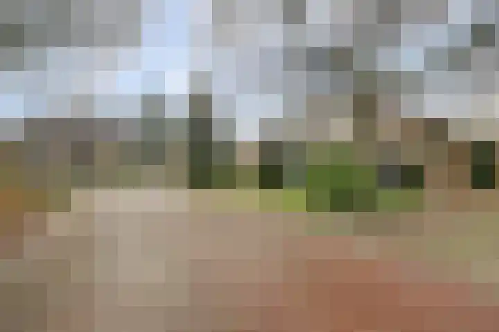 Havikshof 27 Ermelo thumbnail 41