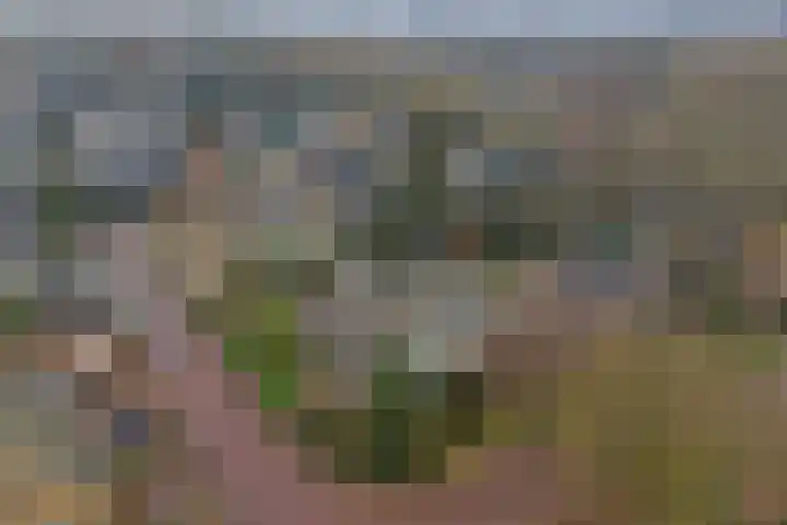 Havikshof 27 Ermelo thumbnail 42