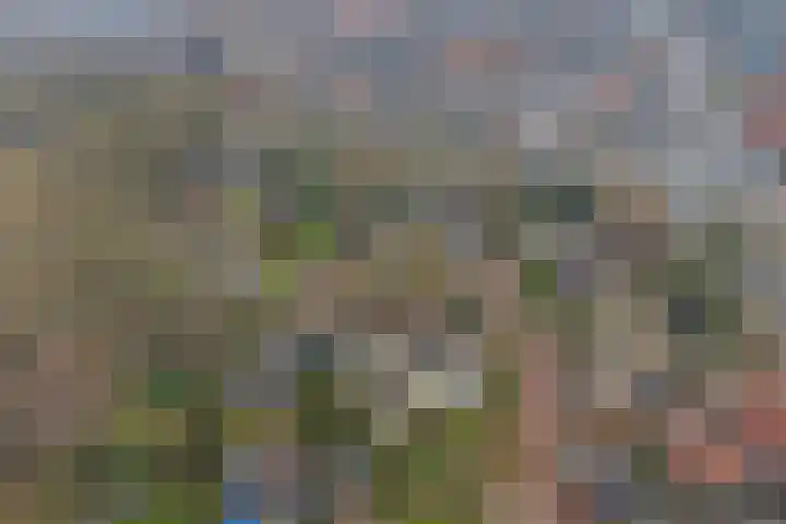 Havikshof 27 Ermelo thumbnail 47