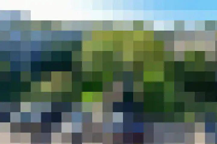 Havikshorst 115 Amsterdam thumbnail 15