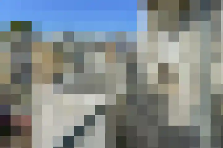 Havikshorst 115 Amsterdam thumbnail 16