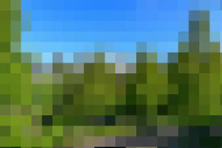 Havikshorst 115 Amsterdam thumbnail 17