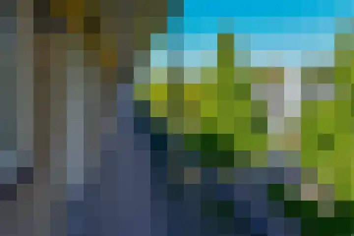 Havikshorst 115 Amsterdam thumbnail 19