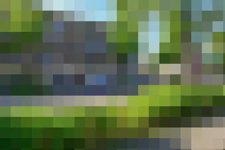 Havikshorst 115 Amsterdam thumbnail 21