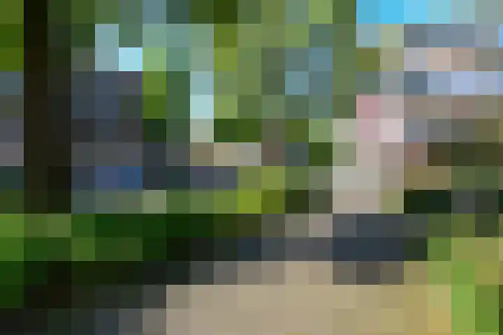 Havikshorst 115 Amsterdam thumbnail 22