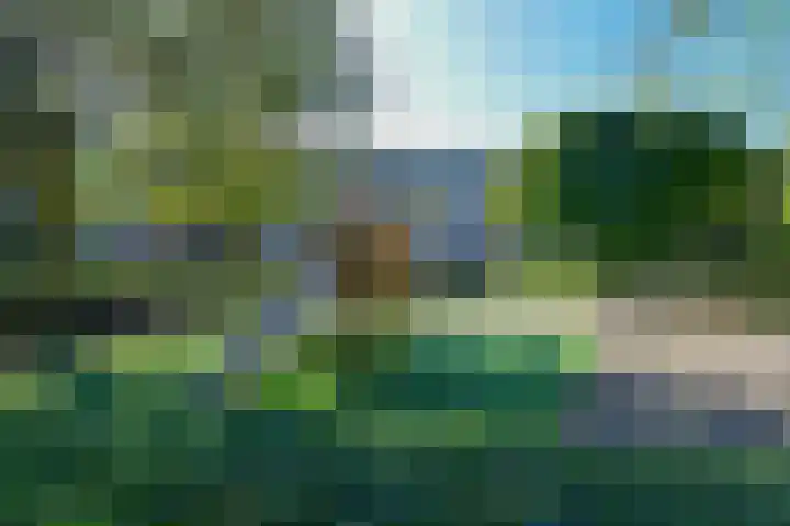 Havikshorst 115 Amsterdam thumbnail 23