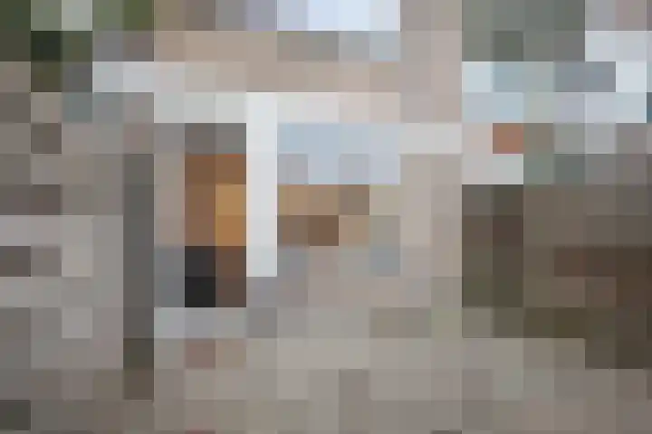 Havikshorst 116 Amsterdam thumbnail 10