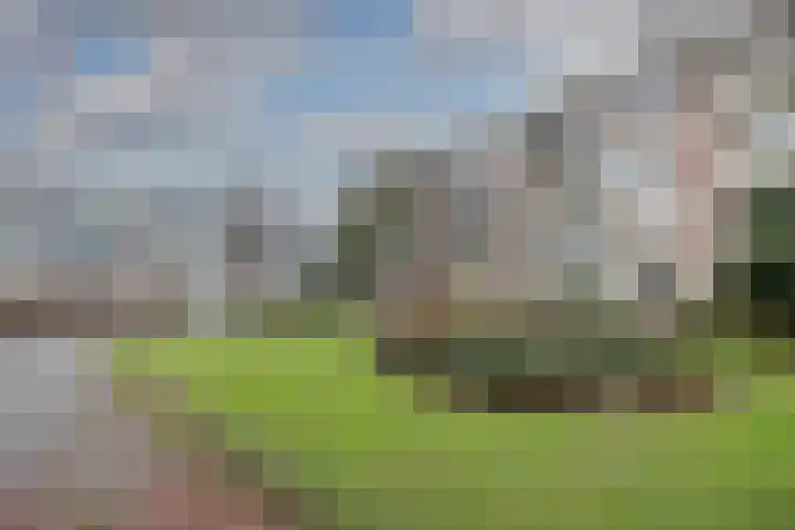 Havikshorst 116 Amsterdam thumbnail 20