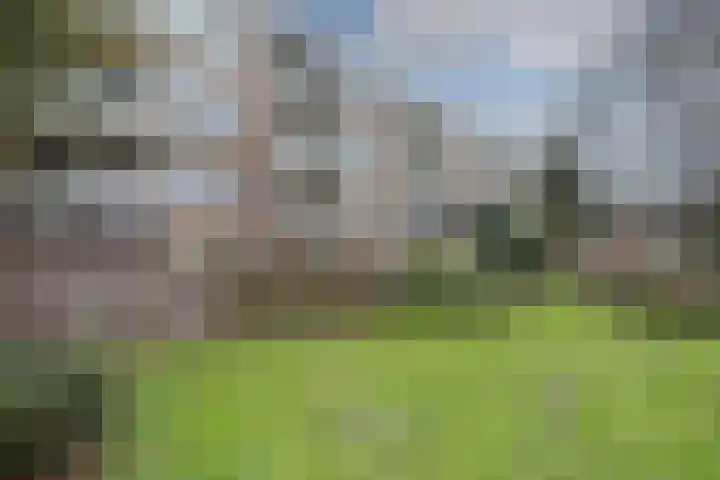 Havikshorst 116 Amsterdam thumbnail 21