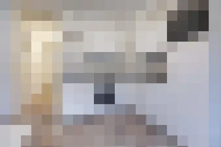Havikshorst 116 Amsterdam thumbnail 5