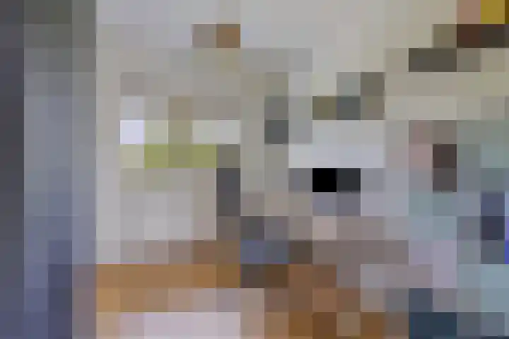 Havikshorst 123 Amsterdam thumbnail 13