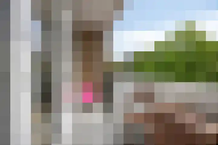 Havikshorst 123 Amsterdam thumbnail 16