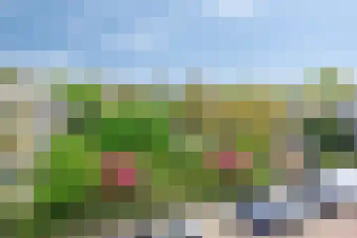 Havikshorst 123 Amsterdam thumbnail 19