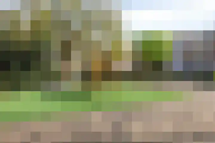 Havikshorst 123 Amsterdam thumbnail 22