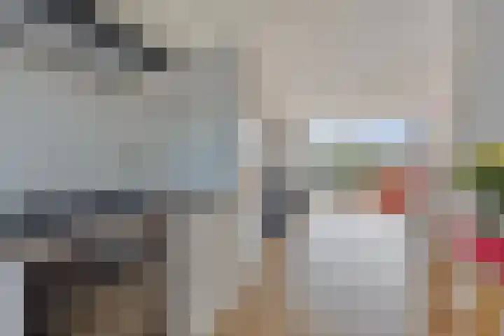 Havikshorst 123 Amsterdam thumbnail 9