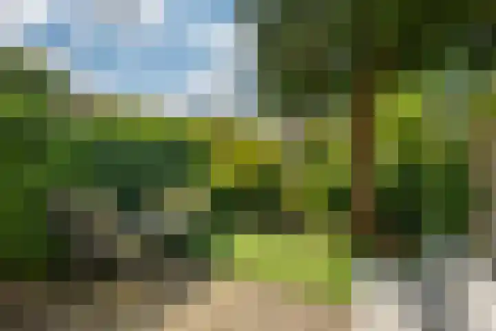 Havikshorst 128 Amsterdam thumbnail 11