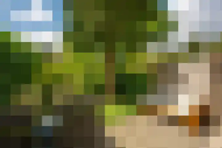 Havikshorst 128 Amsterdam thumbnail 12