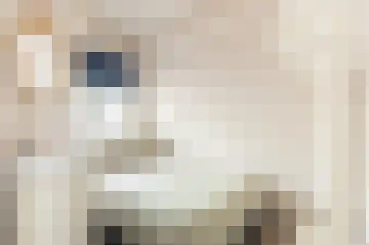 Havikshorst 128 Amsterdam thumbnail 16