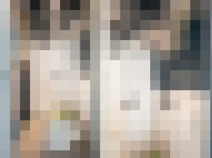 Havikshorst 128 Amsterdam thumbnail 19