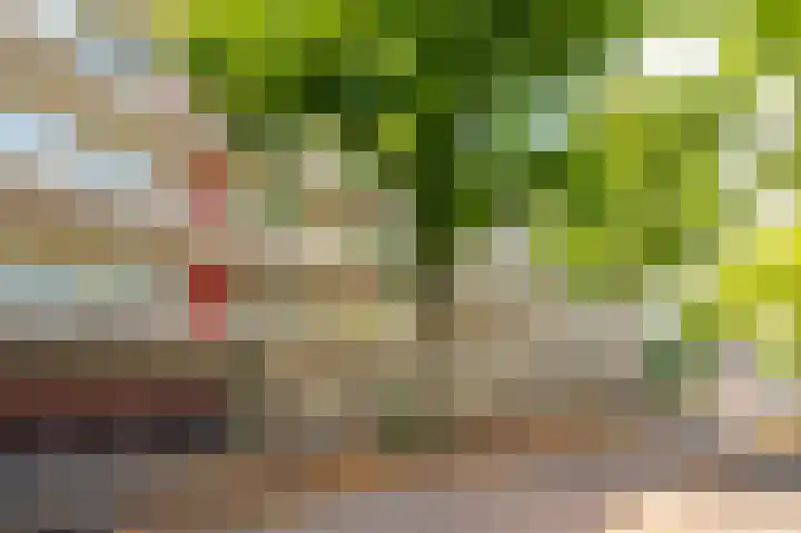 Havikshorst 128 Amsterdam thumbnail 20