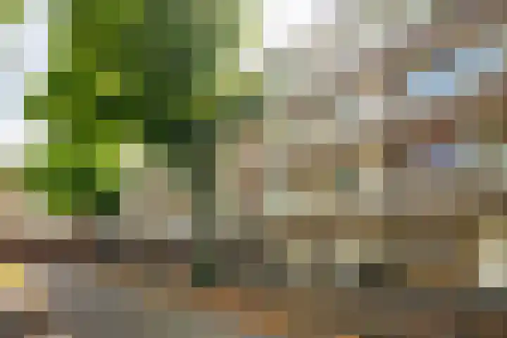 Havikshorst 128 Amsterdam thumbnail 21