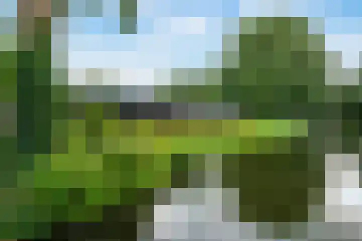 Havikshorst 128 Amsterdam thumbnail 22