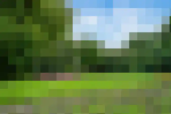 Havikshorst 128 Amsterdam thumbnail 24