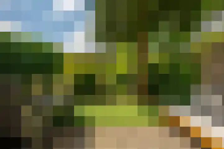 Havikshorst 128 Amsterdam thumbnail 34