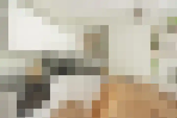 Havikshorst 128 Amsterdam thumbnail 9