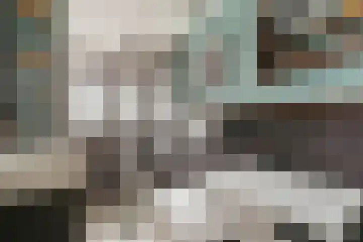 Havikshorst 144 Amsterdam thumbnail 11