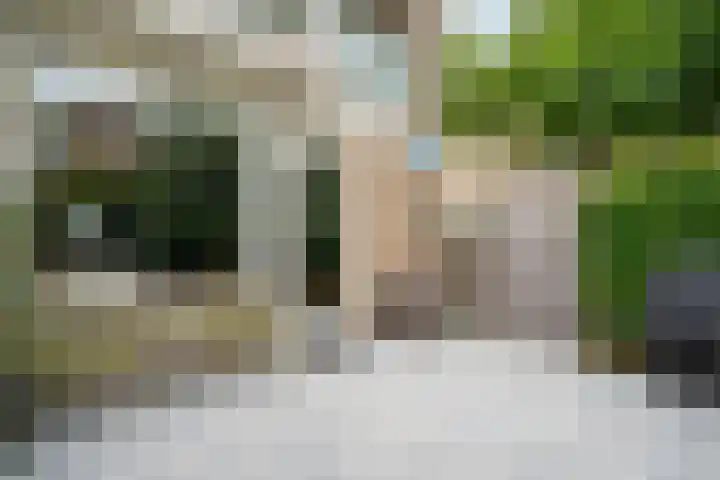 Havikshorst 144 Amsterdam thumbnail 13