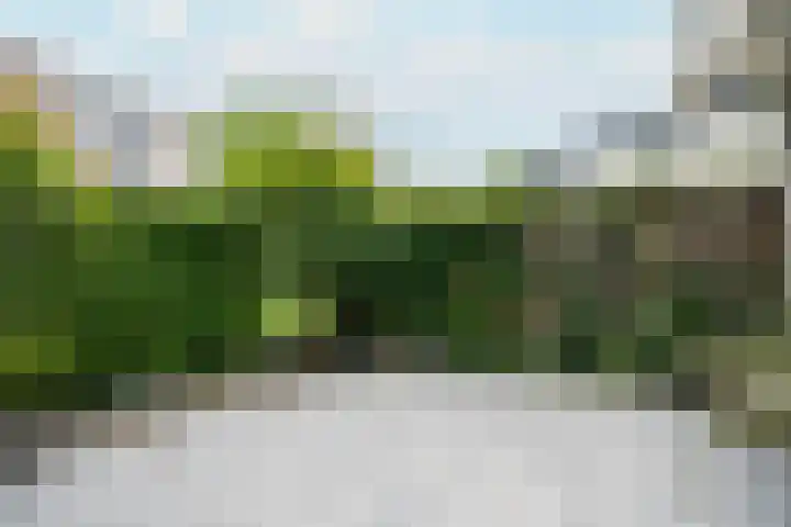 Havikshorst 144 Amsterdam thumbnail 15