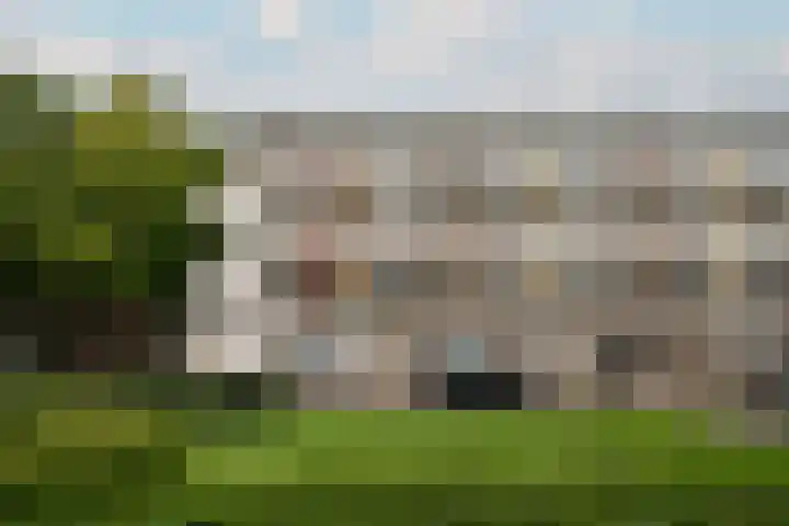 Havikshorst 144 Amsterdam thumbnail 17