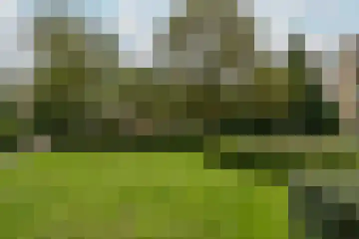 Havikshorst 144 Amsterdam thumbnail 18