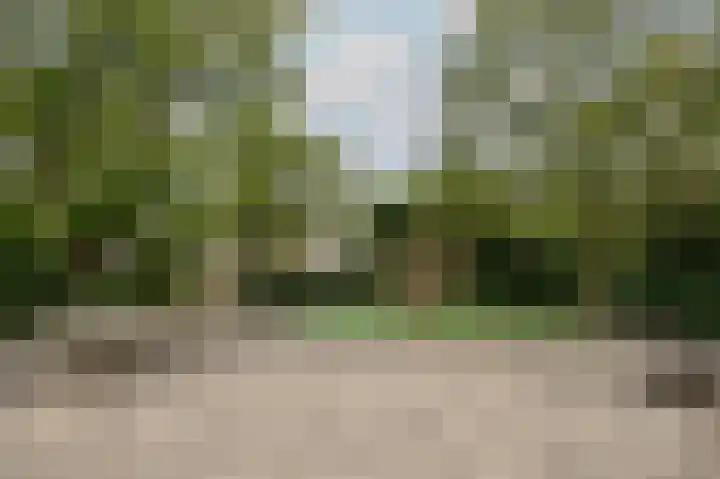 Havikshorst 144 Amsterdam thumbnail 19