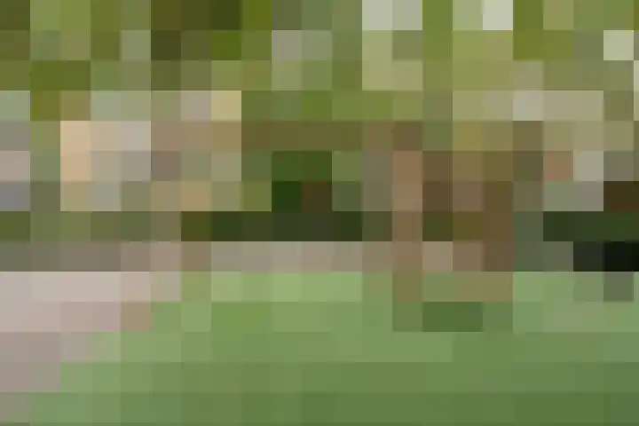 Havikshorst 144 Amsterdam thumbnail 20