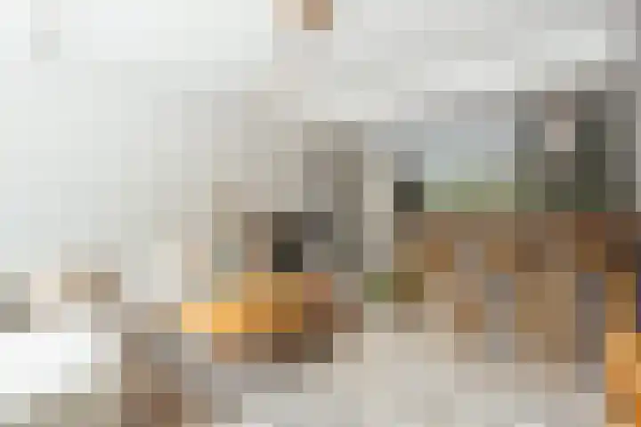 Havikshorst 144 Amsterdam thumbnail 4