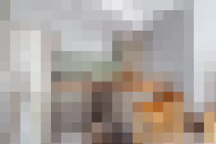 Havikshorst 144 Amsterdam thumbnail 5