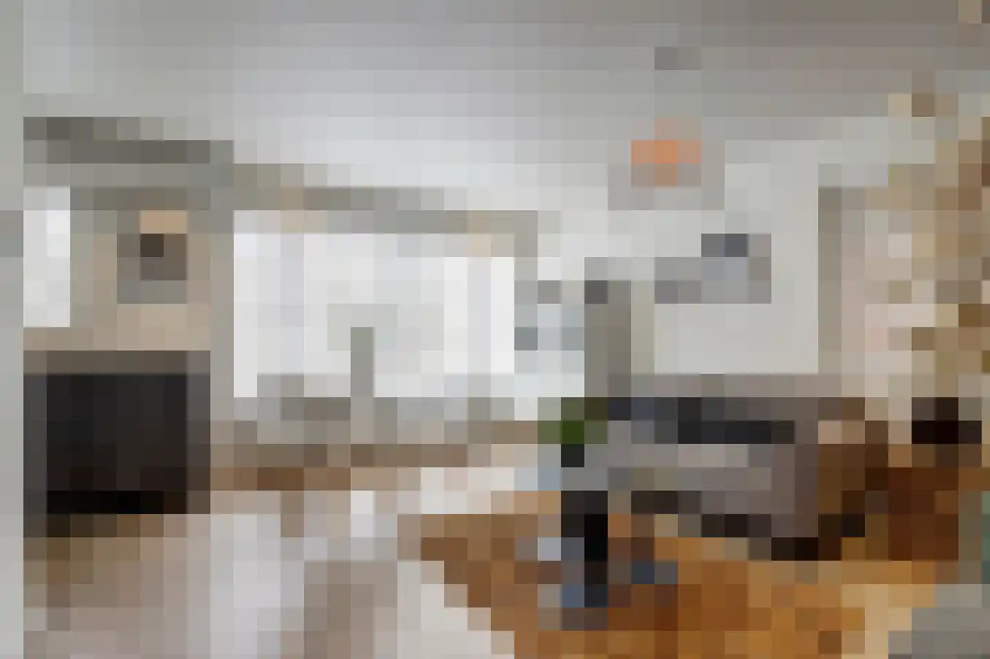 Havikshorst 16 Honselersdijk thumbnail 10
