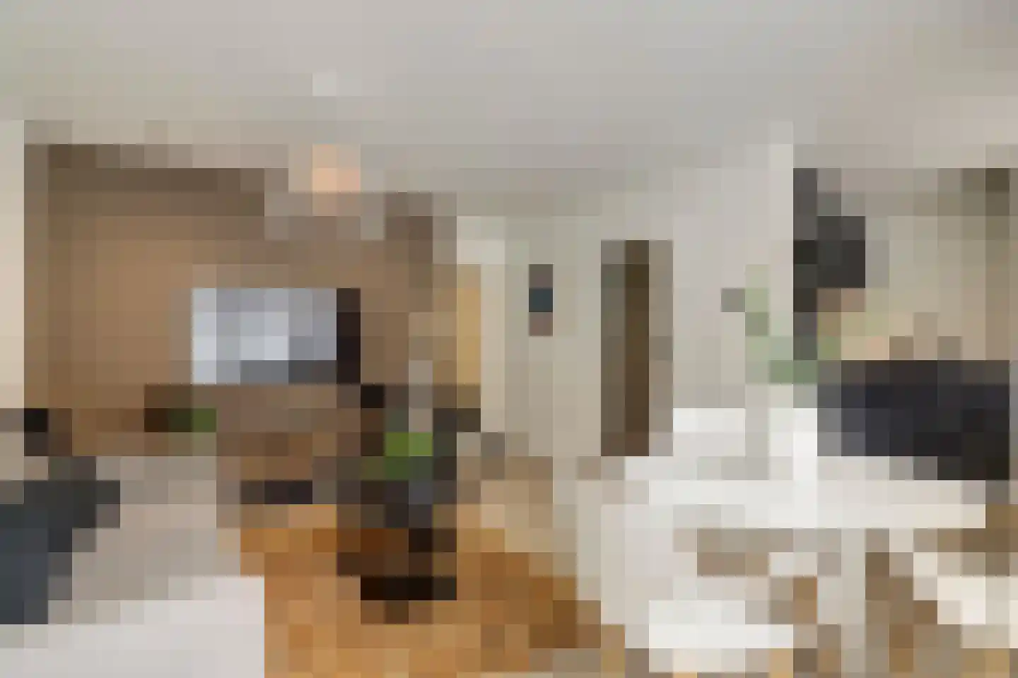 Havikshorst 16 Honselersdijk thumbnail 11