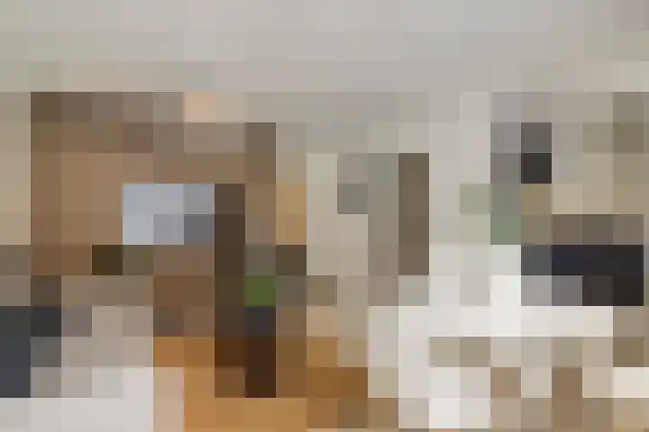 Havikshorst 16 Honselersdijk thumbnail 11
