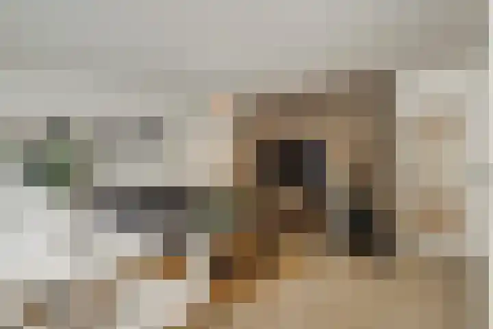 Havikshorst 16 Honselersdijk thumbnail 12