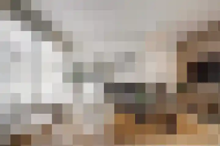 Havikshorst 16 Honselersdijk thumbnail 13