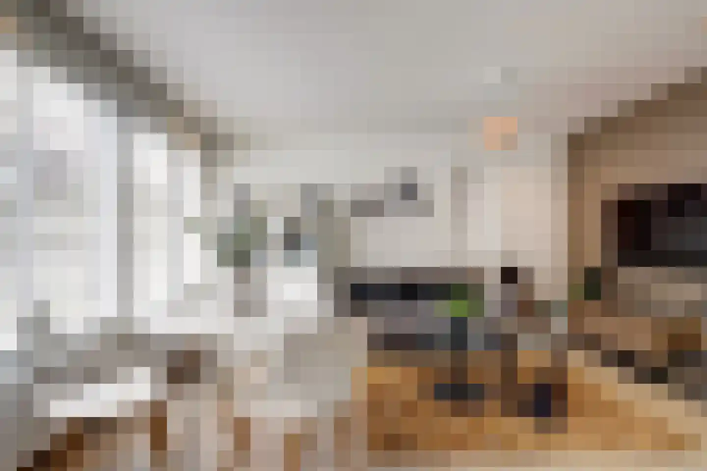 Havikshorst 16 Honselersdijk thumbnail 13