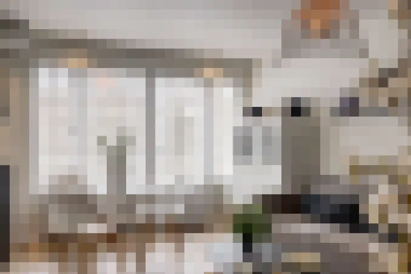 Havikshorst 16 Honselersdijk thumbnail 14