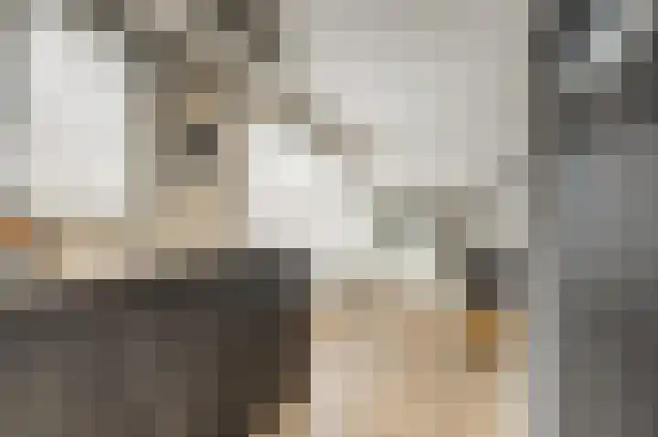 Havikshorst 16 Honselersdijk thumbnail 15