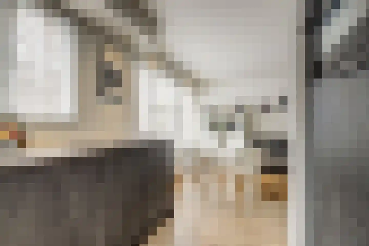 Havikshorst 16 Honselersdijk thumbnail 15
