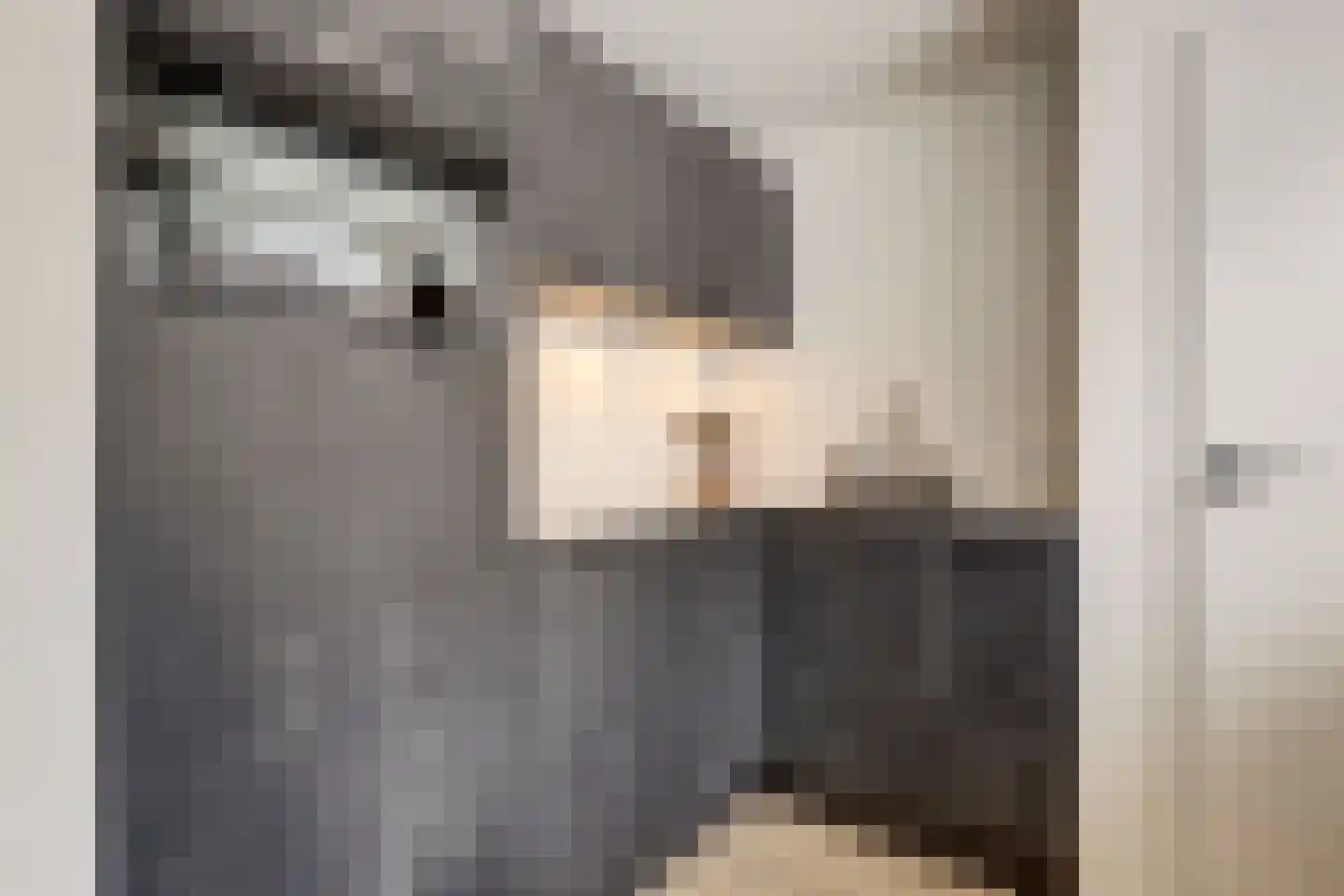 Havikshorst 16 Honselersdijk thumbnail 17